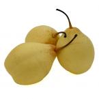 水晶梨 约1000g（时价）