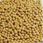 黄豆 约500g