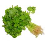 白苋菜 约500g（时价）