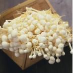 金针菇 约350g（时价）