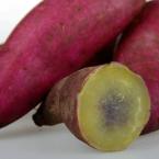 增城一点红番薯（1500g一份）时价