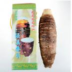 【乐昌特产】正宗张溪炮弹香芋（小于5斤），9.5元/斤，按实重改价