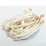 【宏洋特供】海鲜菇 10kg