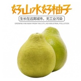 五华梅县沙田柚1个约800g-1500g （时价）