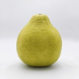 五华梅县沙田柚1个约800g-1500g （时价）